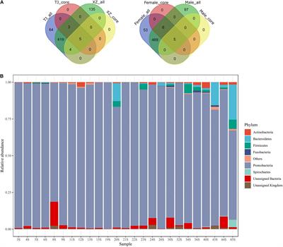 Decisive Effects of Life Stage on the Gut Microbiota Discrepancy Between Two Wild Populations of Hibernating Asiatic Toads (Bufo gargarizans)